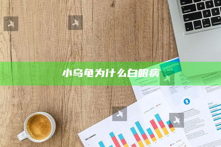 小乌龟为什么白眼病