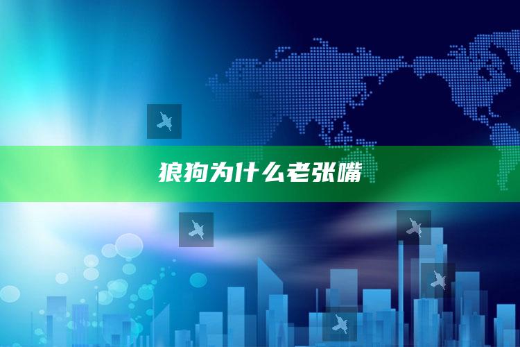 狼狗为什么老张嘴