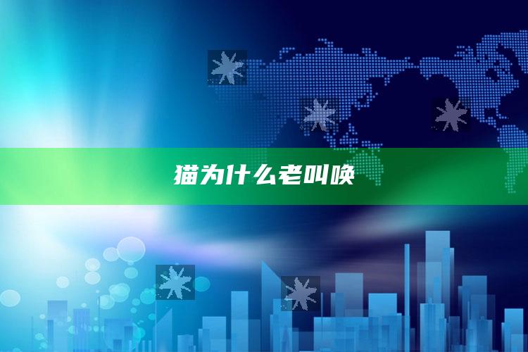 猫为什么老叫唤