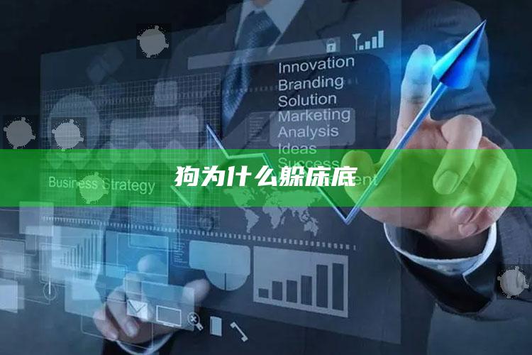 狗为什么躲床底