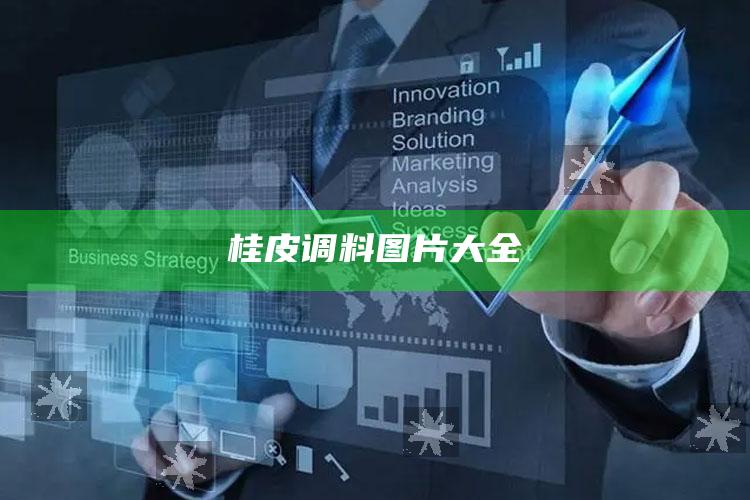 桂皮调料图片大全