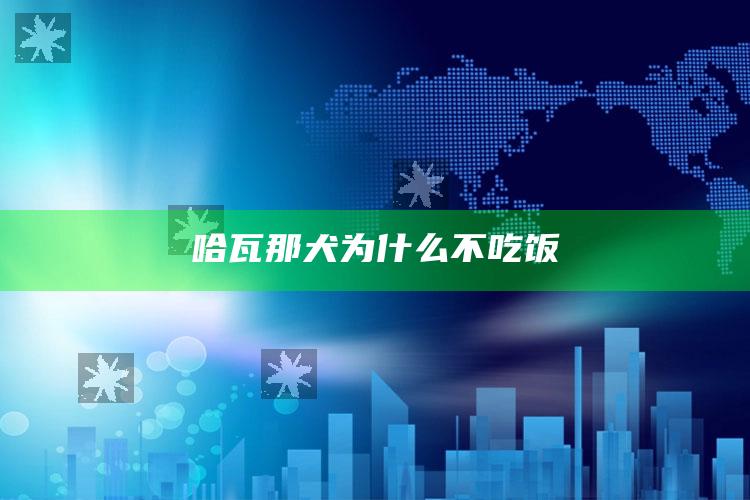 哈瓦那犬为什么不吃饭