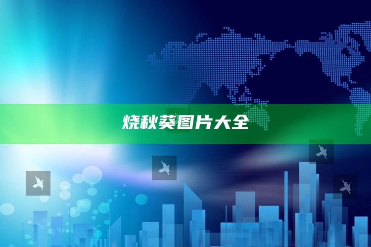 烧秋葵图片大全