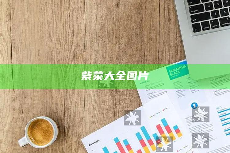 紫菜大全图片