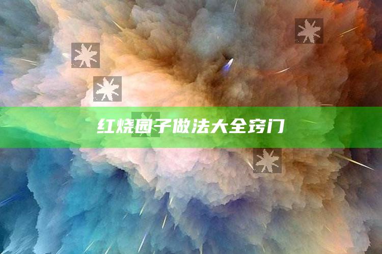 红烧园子做法大全窍门