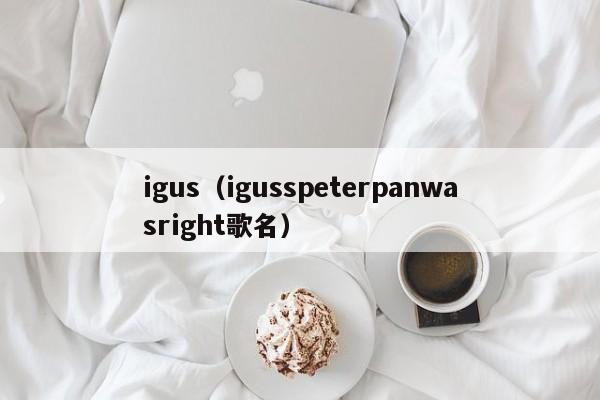 igus（igusspeterpanwasright歌名）