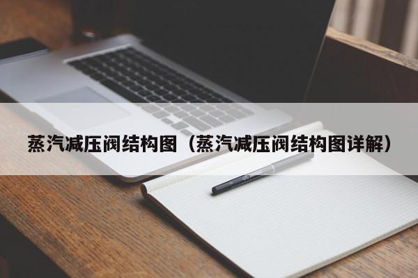 蒸汽减压阀结构图（蒸汽减压阀结构图详解）