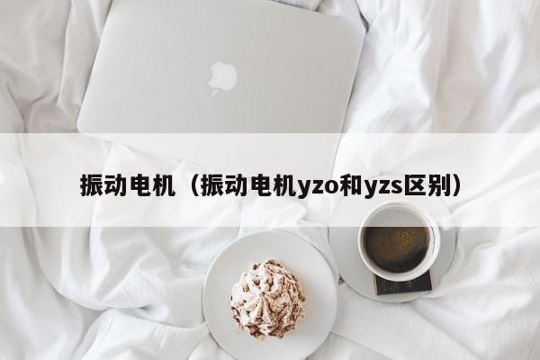 振动电机（振动电机yzo和yzs区别）