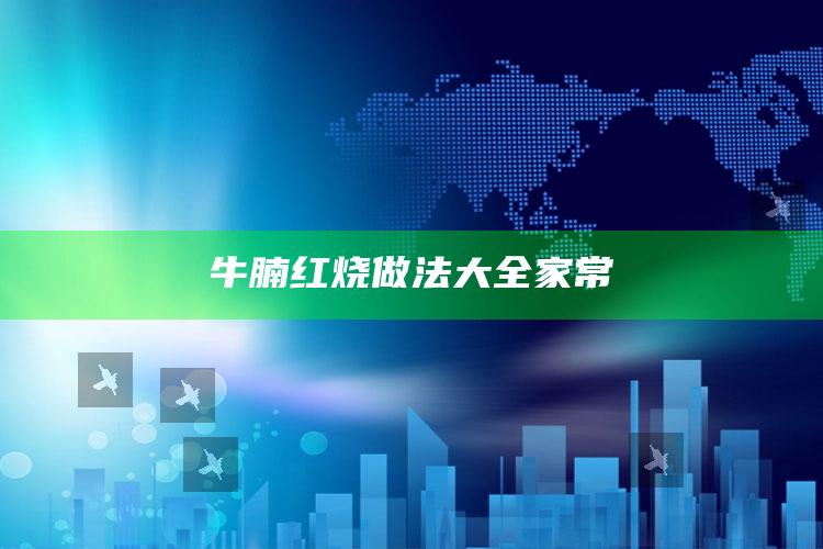 牛腩红烧做法大全家常