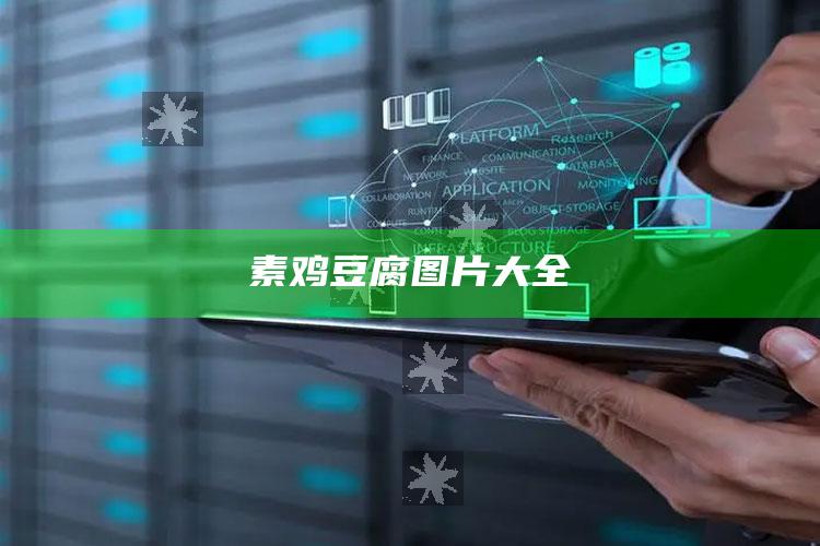 素鸡豆腐图片大全